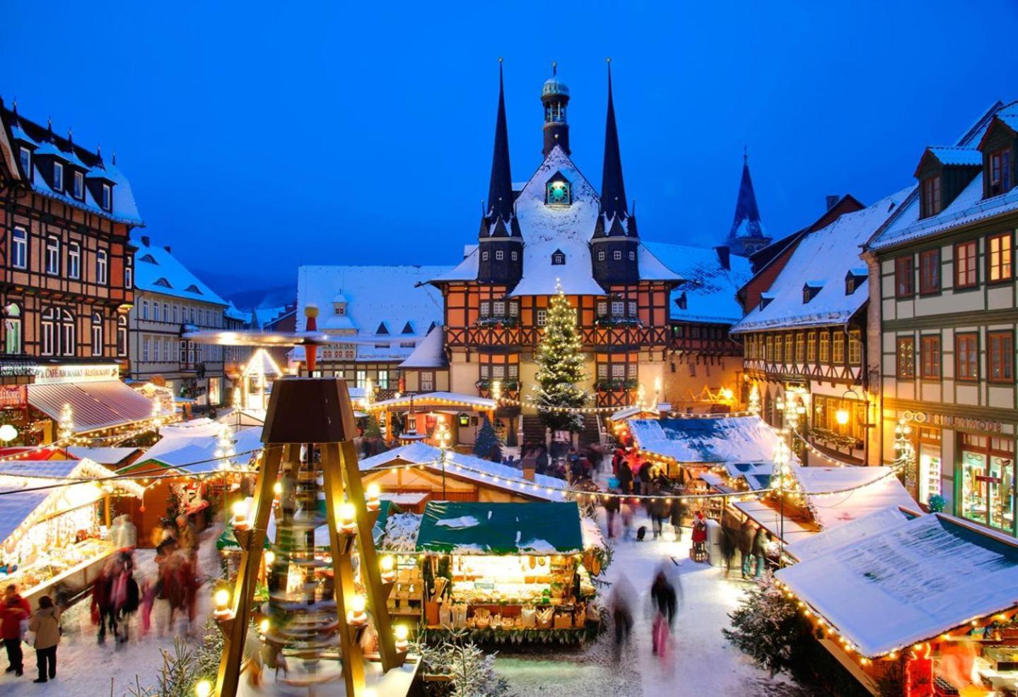Ferienhaus Wernigerode "Am Schlossbuehel" 5 Schlafzimmer Dış mekan fotoğraf